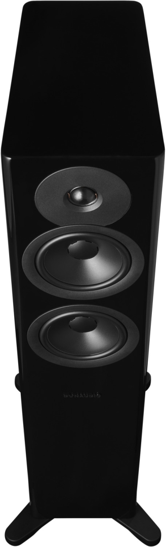 Dynaudio Evoke 30