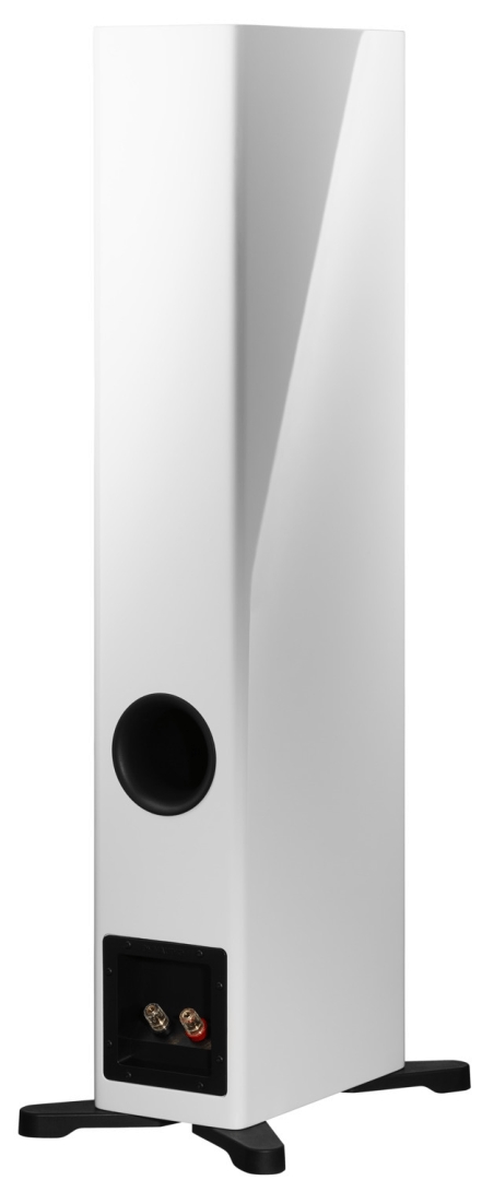 Dynaudio Evoke 30