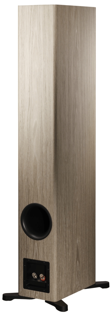 Dynaudio Evoke 50