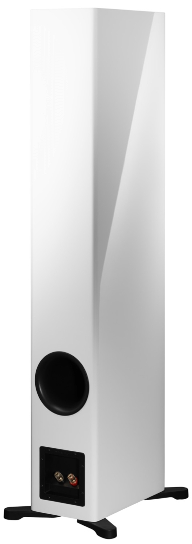 Dynaudio Evoke 50