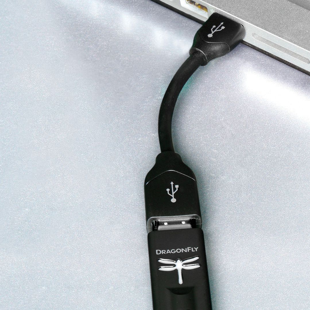 AudioQuest DragonTail USB-C - USB-A