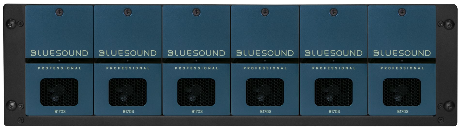Bluesound B170S