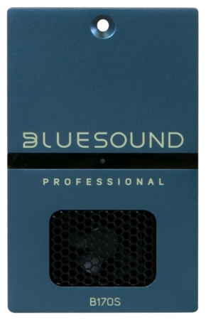 Bluesound B170S