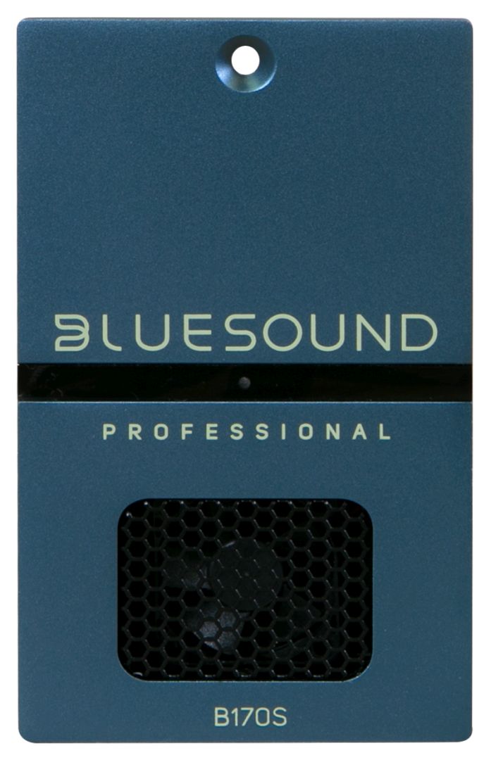 Bluesound B170S
