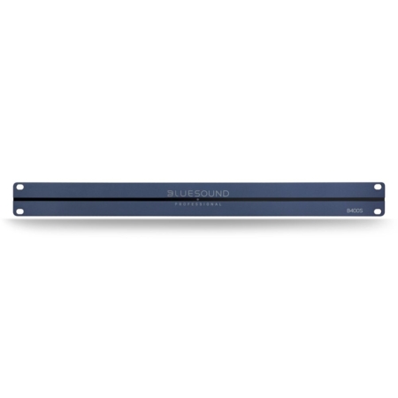 Bluesound B400S