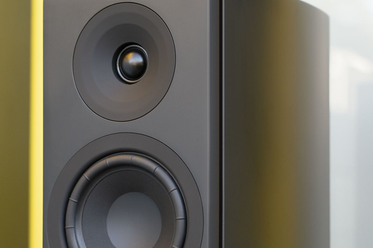 System Audio Legend 40.2 Silverback DS - Afbeelding 6