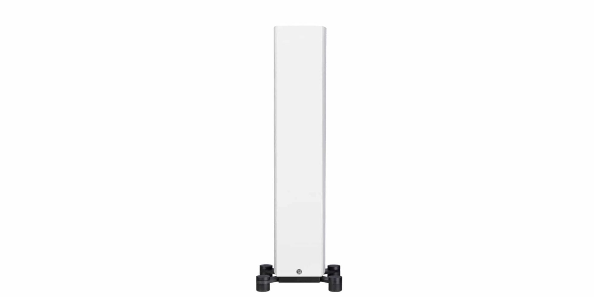System Audio Legend 40.2 Silverback DS - Afbeelding 11