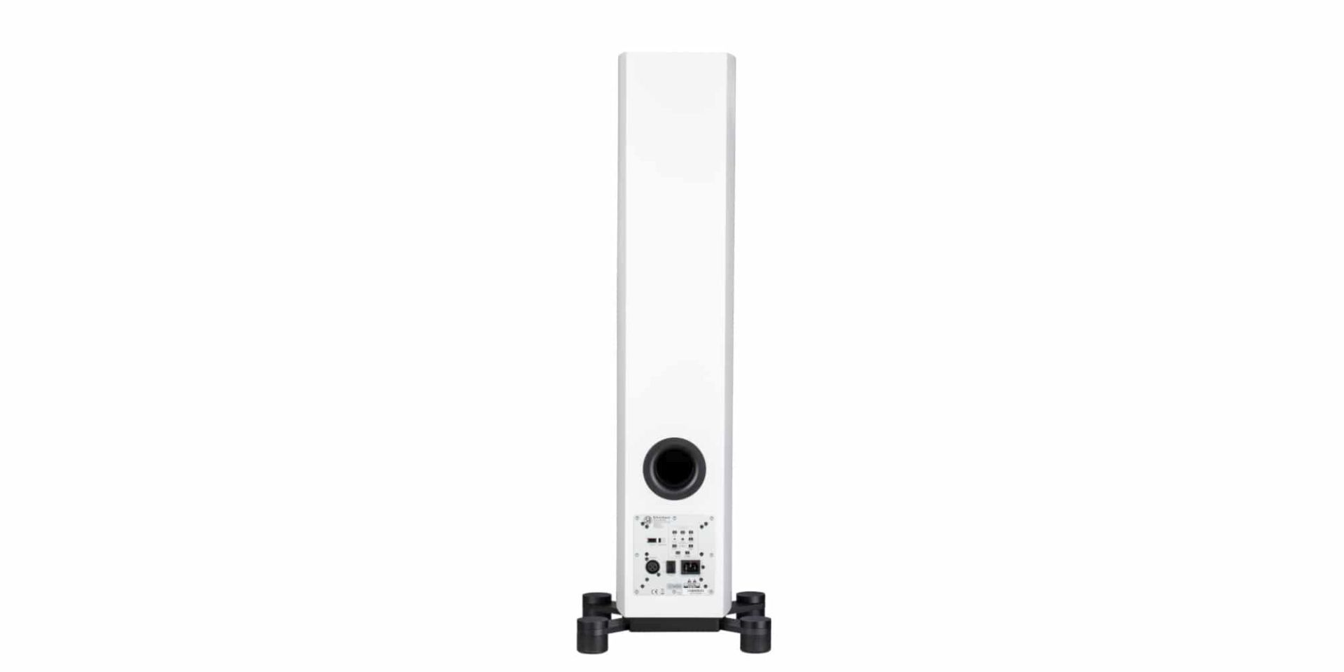 System Audio Legend 40.2 Silverback DS - Afbeelding 13