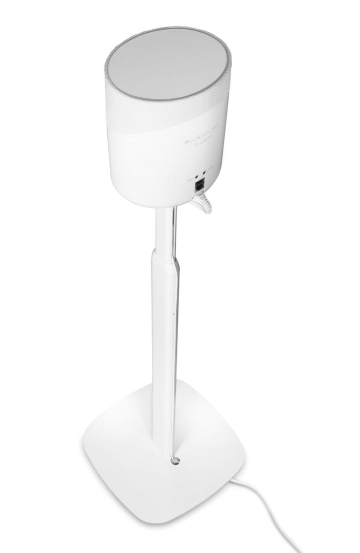 Bluesound Pulse FS231 M/Flex Stand - Afbeelding 5